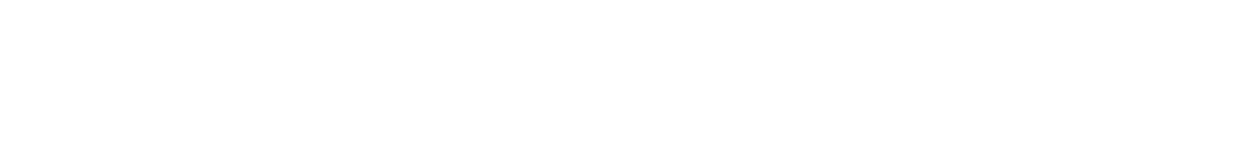 BOSE