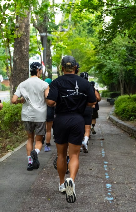 가로수길을 함께 달리는 러너들
